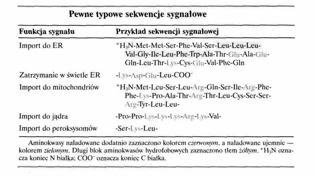 wystarczająca do kierowania