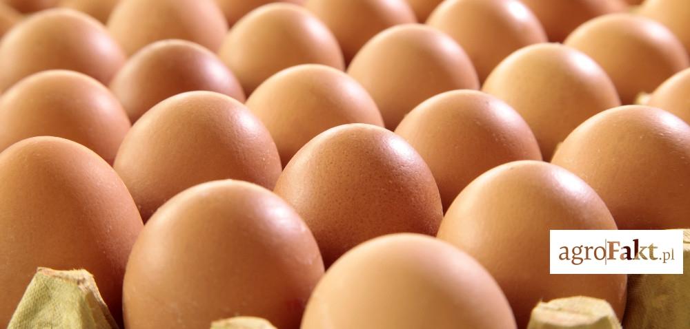 .pl https://www..pl Jak kształtują się ceny jaj i drobiu w okresie wielkanocnym? Autor: Elżbieta Sulima Data: 14 kwietnia 2017 Wzrost zainteresowania jajkami przed świętami jest oczywisty.