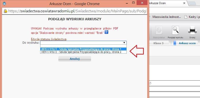 15 podgląd wydruku w formacie PDF