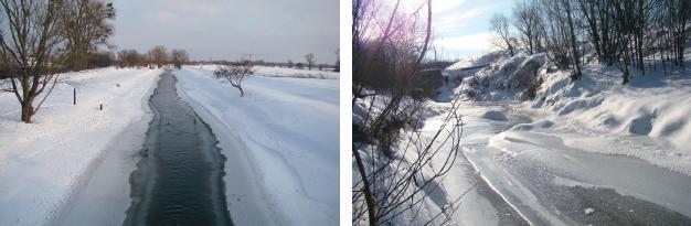 Fot. 15. Lód brzegowy na Widawie w Krzyżanowicach; fot. W. Wdowikowski Fot. 16. Całkowita pokrywa lodowa na Strzegomce w Chwaliszowie; fot. W. Wdowikowski Fot. 17.