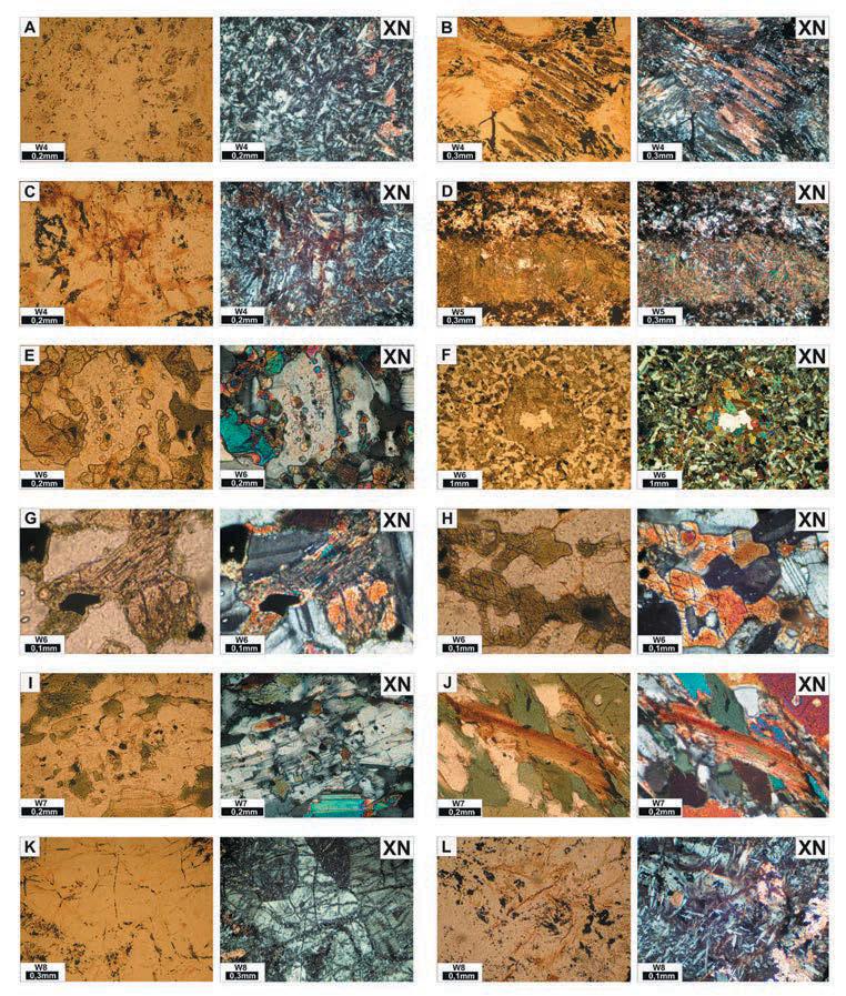 WYNIKI BADAŃ PETROGRAFICZNYCH MATERIAŁÓW KAMIENNYCH Ryc. 4. Stanowisko Wrocław-Widawa 17.