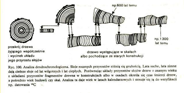 1. Na podstawie rysunku wyjaśnij: Do badania jakiego wieku skał służy metoda dendrochronologiczna Jaki jest zakres użyteczności tej metody Czy można porównywać skały datowane na 2 różnych