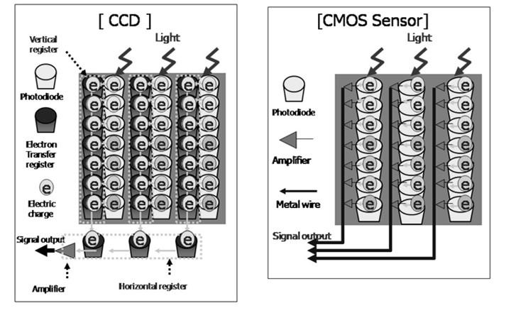 Kamery Typ przetwornika: CCD fotodetektory, które podczas transferu obrazu przekazują sobie ładunki (na