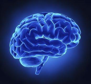 III. Akumulacja magnetytu w mózgu Przeanalizowano 37 wycinków tkanki mózgowej (29 osób mieszkających na terenie