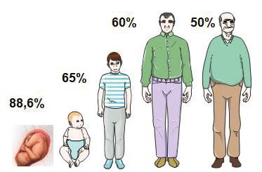 Organizm 24-tygodniowego płodu zawiera 88,6% wody, u noworodka zawartość wody wynosi 75-80%, a u rocznego dziecka 65% masy ciała.