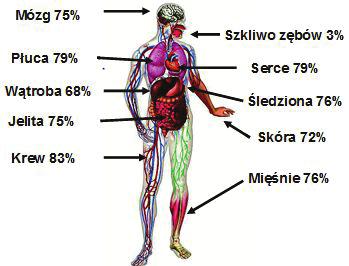 Największe ilości wody zawierają płyny ustrojowe, np. krew ok. 80%, żółć 86%, chłonka 98%, sok żołądkowy 97%, pot 99,0-99,5%.