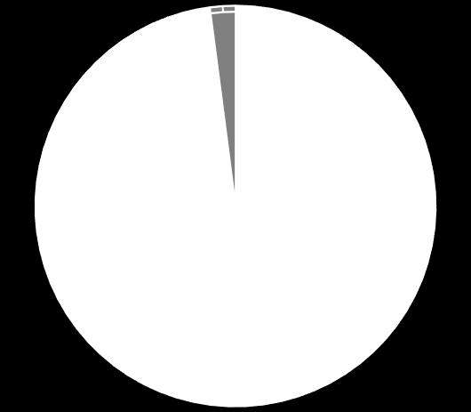 *Zintegrowane BIZNES POLIAMID 6 [tt] Polska