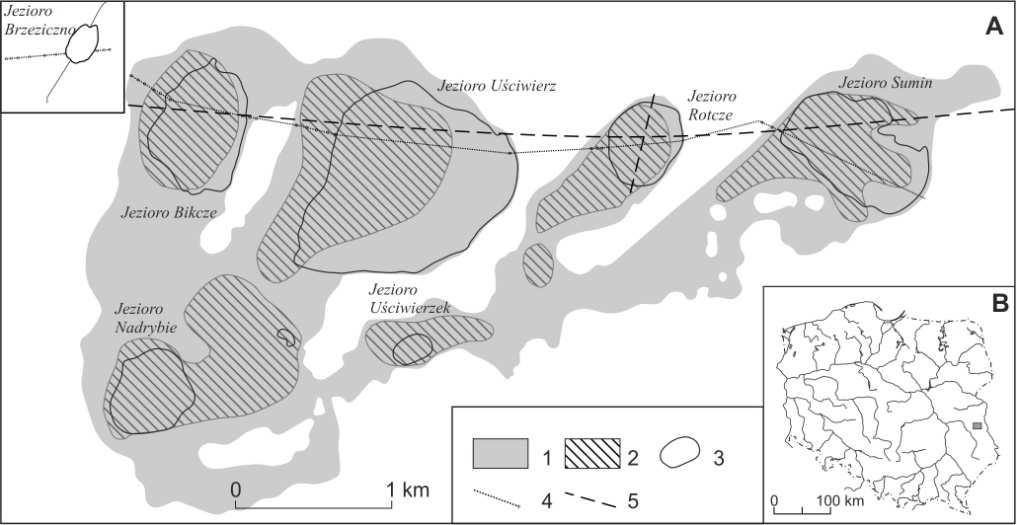 Zarastanie jezior Obniżenia Uściwierskiego i jeziora Brzeziczno (Pojezierze Łęczyńsko-Włodawskie) Rys. 1. A.