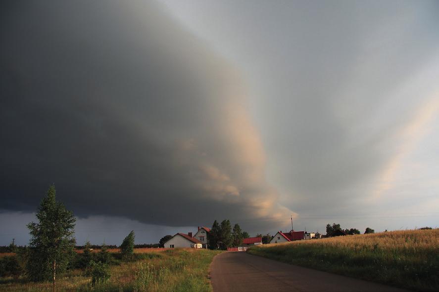 Chmura Cumulonimbus z chmurą towarzyszącą Arcus; fot. M. Kuliga Chmury kłębiaste Cumulus humilis; fot. W.