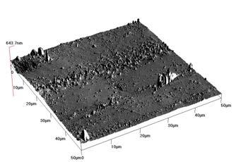 108 T R I B O L O G I A 6-2014 Rysy występujące na powierzchniach polimerowego trzpienia, widoczne zarówno na obrazach WLI, jak również AFM (EWW trzpień) wskazują na charakter tarcia w ruchu