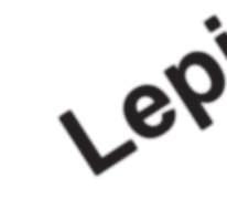 Lepiej x