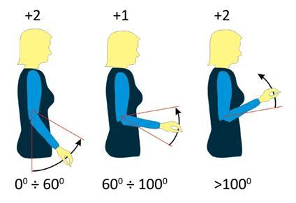Porównanie metod oceny ryzyka rozwoju dolegliwości mięśniowo-szkieletowych 235 b) zgięte w łokciu pod kątem mniejszym niż 60 o lub większym niż 100