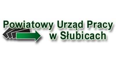 (DRUK NR 6/XL) SPRAWOZDANIE Z DZIAŁALNOŚCI POWIATOWEGO URZĘDU PRACY W