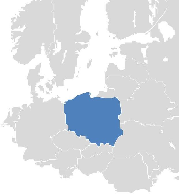 Petrochemia a Grupa Azoty Zapotrzebowanie na produkty petrochemiczne Surowiec Obecnie Nowe projekty Propylen ~ 130 tt