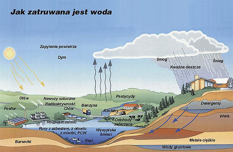 nadających się do wykorzystania, przyspieszona eutrofizacja wód jezior i mórz śródlądowych Zapobieganie: oczyszczanie ścieków, stosowanie w przemyśle technologii wodooszczędnych, racjonalne