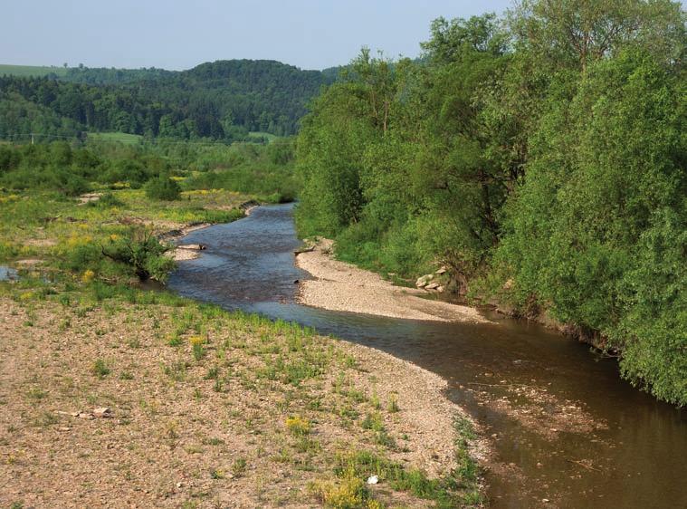 Wędrówki po Pogórzu Przemyskim i Górach Sanocko-Turczańskich W regionie nie brakuje miejsc, których odwiedzenie gwarantuje spotkanie z wieloma ciekawymi zbiorowiskami roślinnymi czy też gatunkami