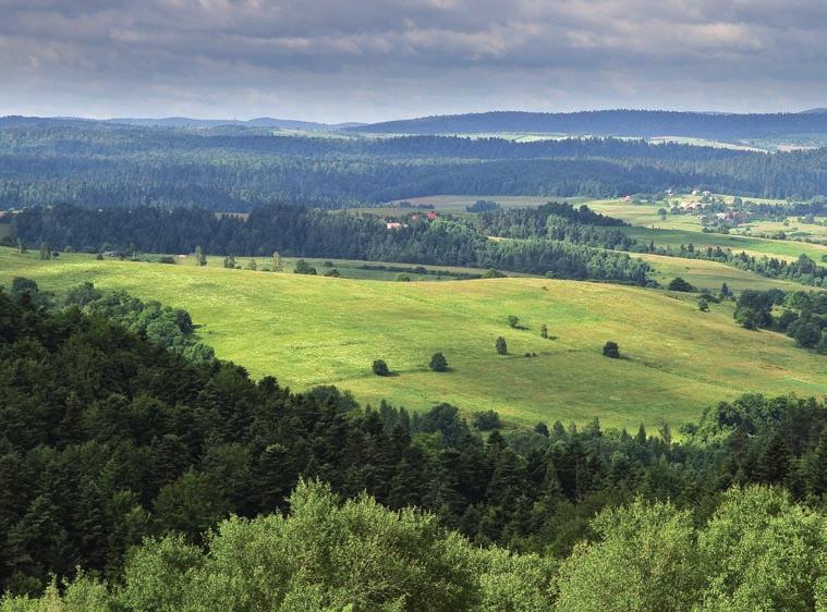 Uwarunkowania środowiskowe wpływające na bogactwo przyrodnicze Pogórze Przemyskie jest w Polsce najbardziej na wschód wysuniętą częścią Zewnętrznych Karpat Zachodnich.