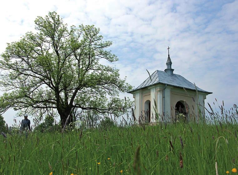 Oba regiony charakteryzuje rusztowy układ grzbietów górskich ułożonych równoległe względem siebie, poprzecinanych gęstą siecią dolin rzecznych.