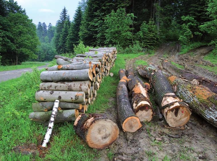 Znaczenie działalności człowieka W przeszłości działalność człowieka w regionie zależna była od przyrody. Również dziś największe znaczenie mają tu gałęzie gospodarki powiązane z zasobami naturalnymi.