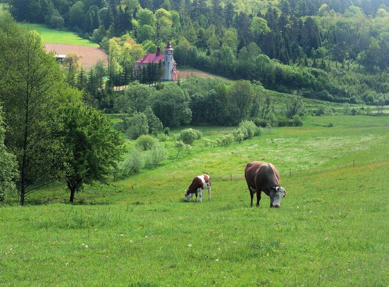 Niestety, podobnie jak w innych częściach Karpat, i tu załamała się w ostatnich dziesięcioleciach.