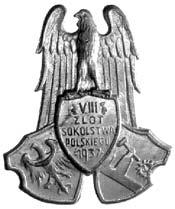 zapinka II+ 100,- *816. dwie odznaki sokolskie- jedna VIII Zlotu Sokolstwa Polskiego w 1937 r.