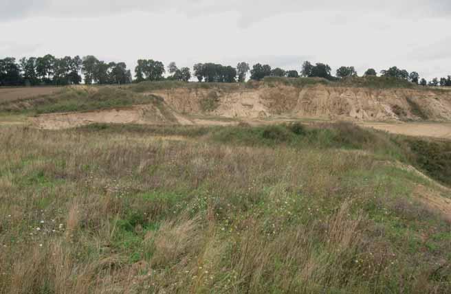 Widok na wybierzysko piasku na północ od