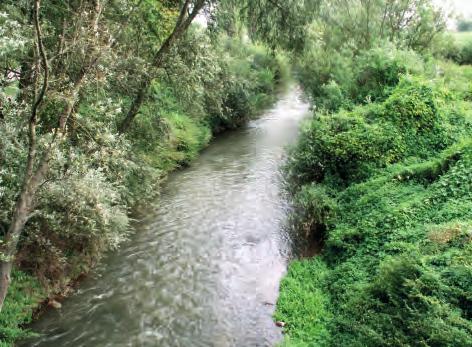 3.2. Rzeźba terenu Fotografia 2. Koryto Szreniawy w okolicach Koszyc ( fot. A. Michno ) Photo 2. The Szreniawa river channel near Koszyce ( photo by A.