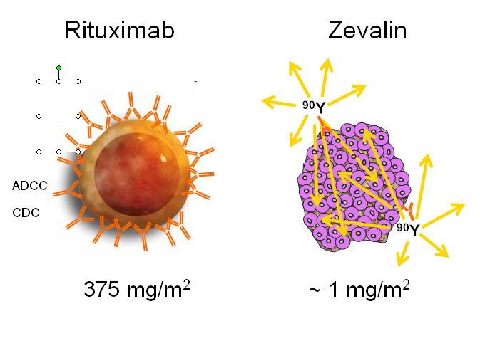 254 W. JURCZAK i wsp. Radioimmunoterapia z zastosowaniem ibritumomabu jest procedurą ambulatoryjną.