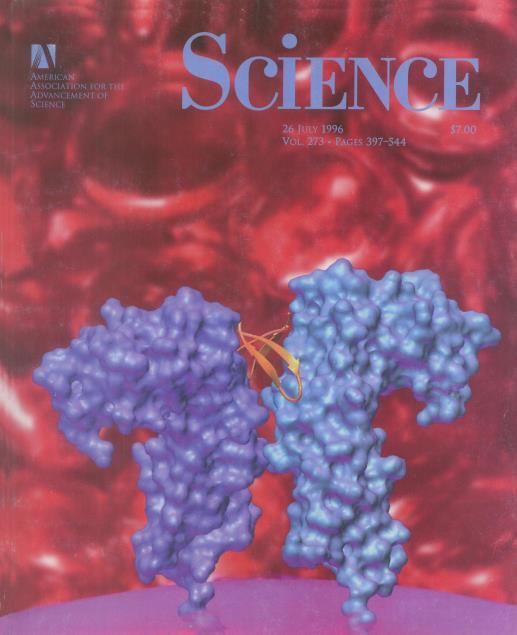 Science, lipiec 1996 Seria agonistów receptora