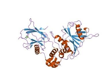 Leki działające poprzez czynniki indukowane niedotlenieniem (hypoxiainducible factors - HIF) rodzina czynników transkrypcyjnych, których ekspresja zwiększa się w odpowiedzi na niedotlenienie HIF-1