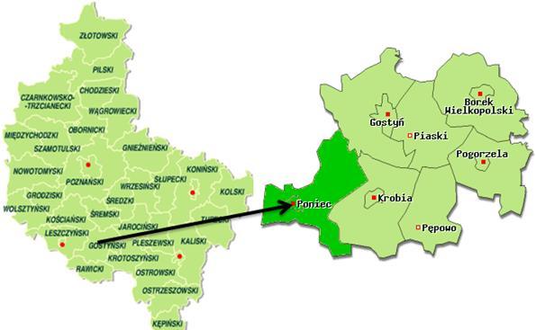 w tym miasto Poniec zajmuje 3,5 km 2. Gmina jest oddalona około 20 km od Leszna, Gostynia i Rawicza. Lokalizacje Gminy na tle województwa i powiatu pokazano na rysunku 1. Rysunek 1.