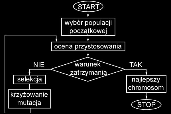 osobniki co oznacza, że w wyniku reprodukcji w populacji tymczasowej znajdzie się prawdopodobnie więcej kopii osobników o wyższej wartości przystosowania.