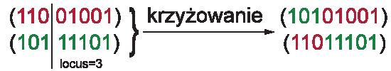 metody jest liczność populacji tymczasowej. W szczególnym przypadku możliwe jest przeprowadzanie turniejów pomiędzy dwoma osobnikami. 2.