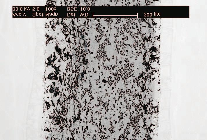 1107 of FeAl phase (8.8±2 µm). In the joint structure eight transient zones can be distinguished (Fig. 4b). In the sintered zone volume an increased level nickel content (about 8% at.