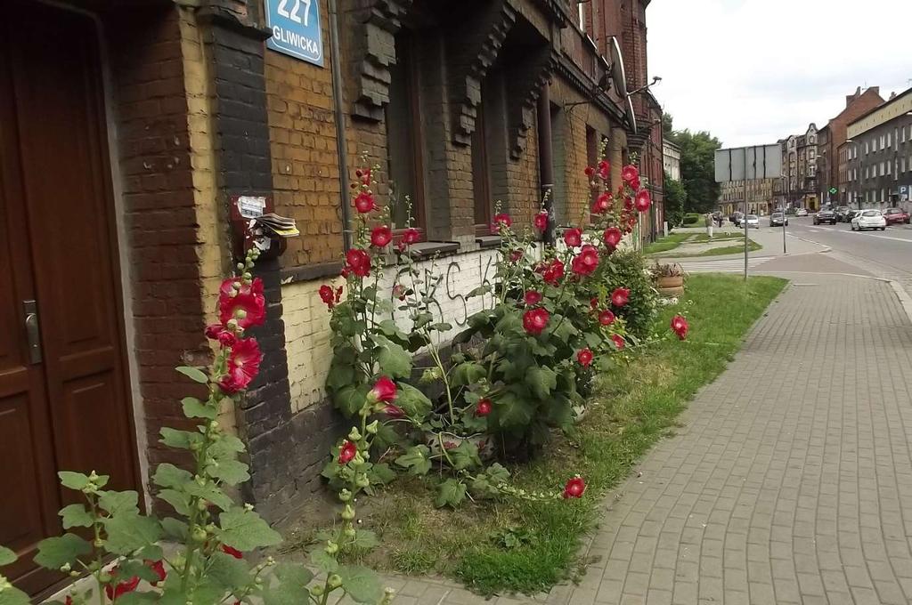 77 których otoczenie, mieszkańcy