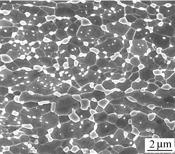 Rekrystalizacja odkształconej stali zachodząca w trakcie wyżarzania prowadzi, podobnie jak podczas odkształcania na ciepło, do powstawania szerokokątowych granic ziaren ferrytu [54, 56].