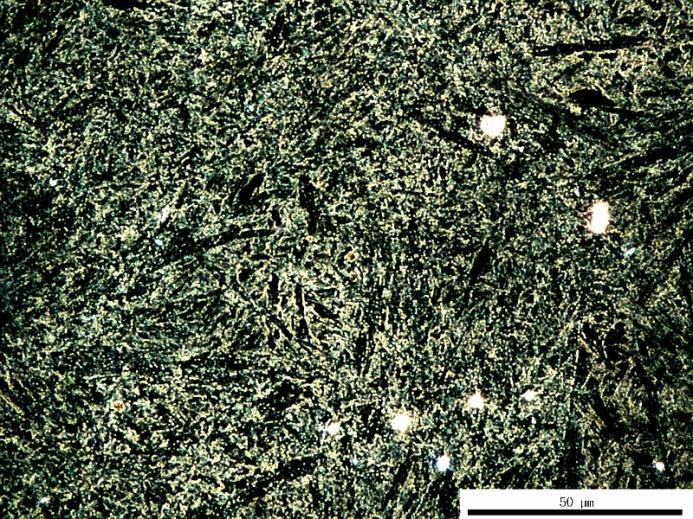 Mikrostruktura po odkształceniu ε = 0,86 w temperaturze 775 C z prędkością odkształcenia 0,1 s-1 materiału o 