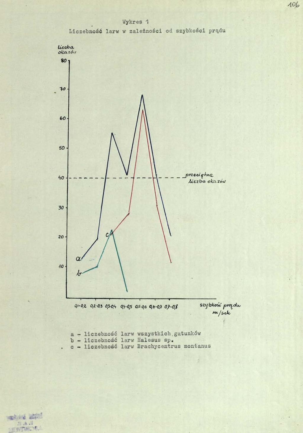 Loozba. Wykres 1 Liczebność larw w zależności od szybkości prądu 60 50-30 20 - Ąt-0,Z 0,2-0,5 0,3-0^ O,';-0,5 0.