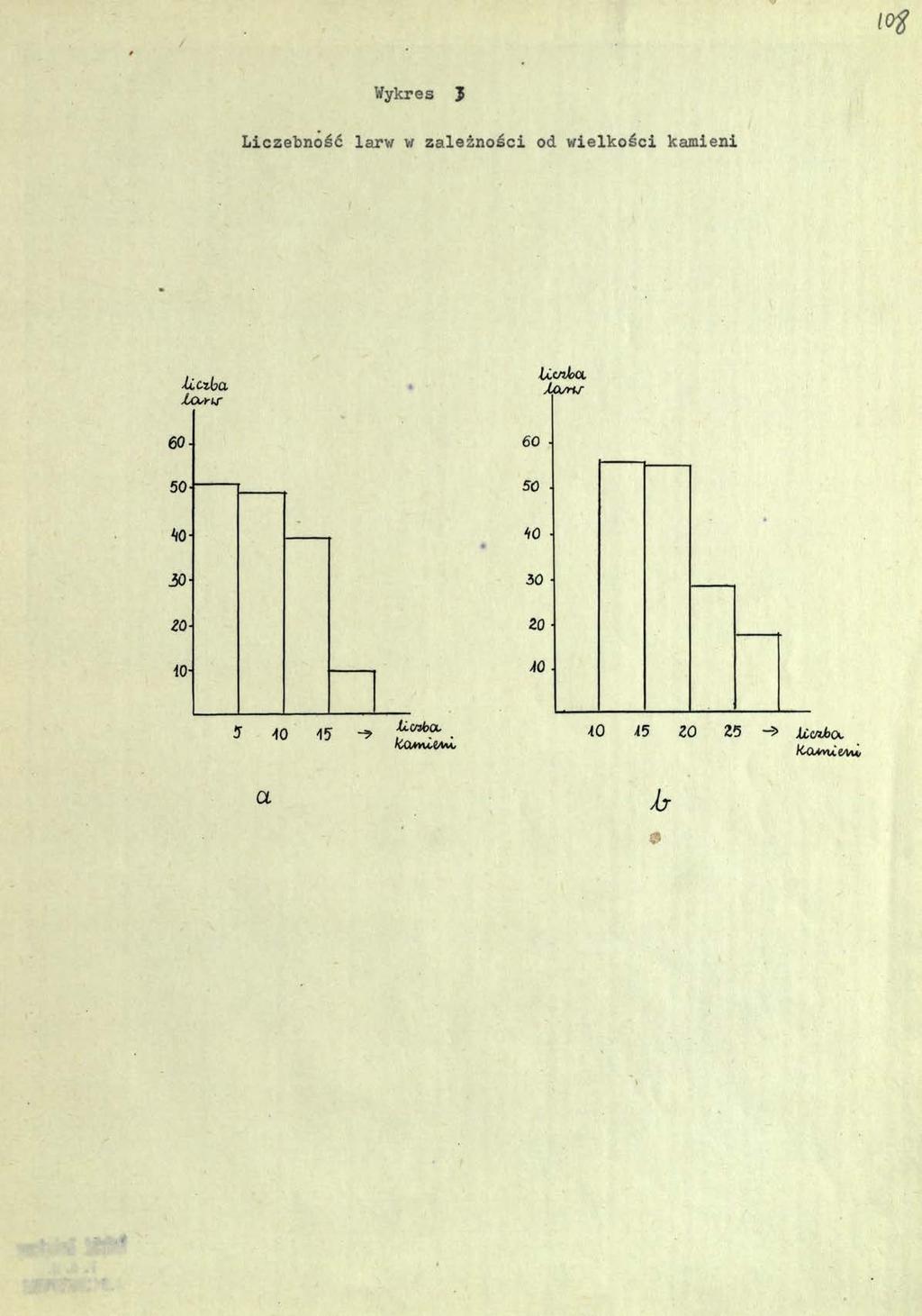 / (I# Wykres J Liczebność larw w zależności od wielkości kamieni liczba Lo/rir 60 ICcnloa.