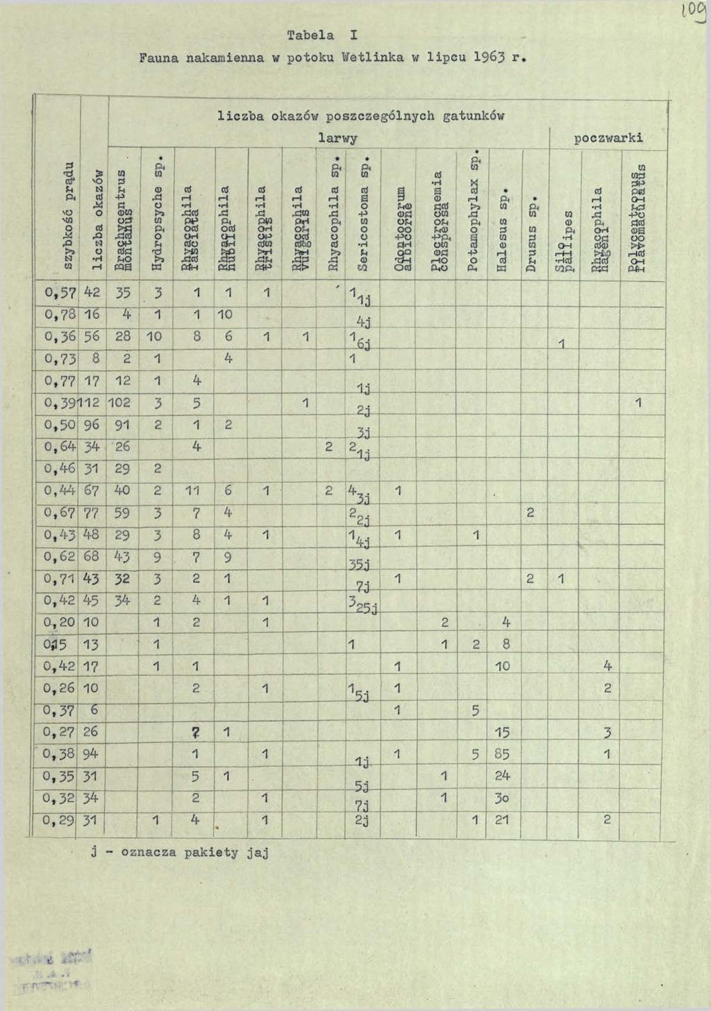 Tabela I Fauna nakamienna w potoku Wetlinka w lipcu 1963 r. liczba okazów poszczególnych gatunków larwy poczwarki szybkość prądu liczba okazów 01 3 u +> Ö 03 o3 33 OP ctfö ShO CQS Hydropsyche sp.