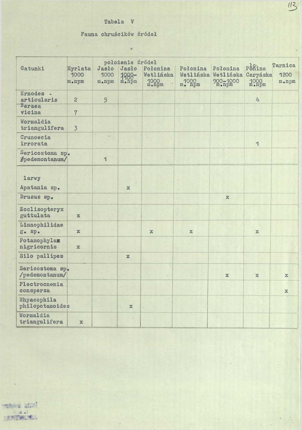 3 Tabela V Fauna chruścików źródeł Gatunki Hyrlata 1000 m.npm położenie źródeł Jasło Jasło Połonina 1000 ^88" Wetlińska m.npm m.npm 1000 ^ y m.npm Połonina Wetlińska 1000 m.