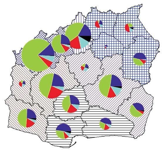 Restrukturyzacja zasobu nieruchomoœci dworcowych.