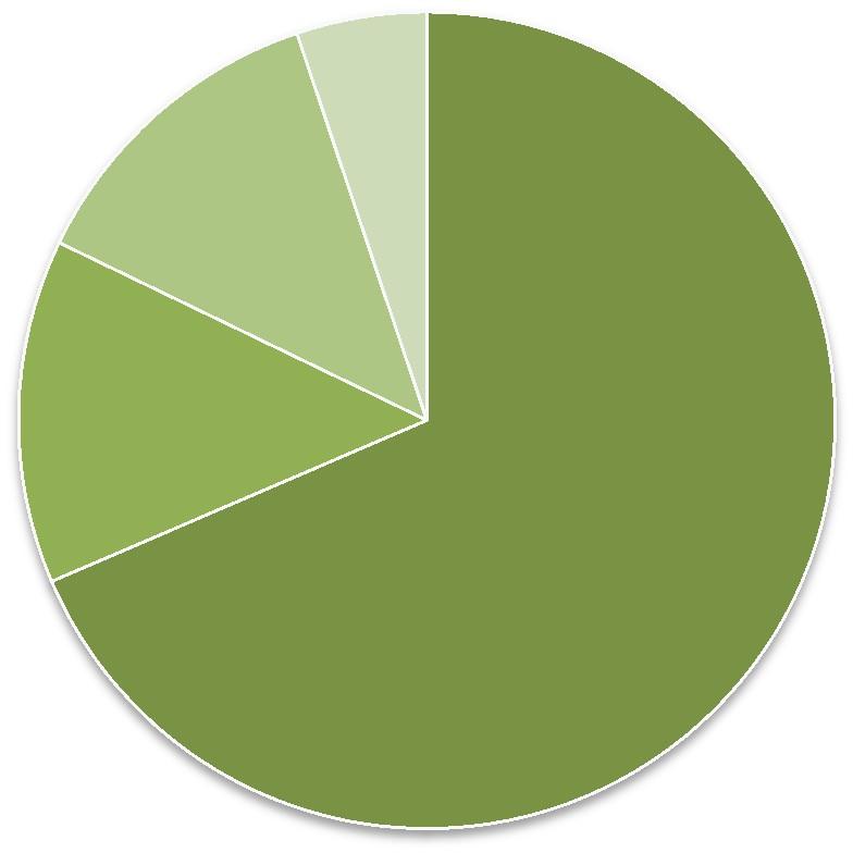 5,16% 12,68% 13,62% 68,54% Osoby prywatne Sektor społeczny Samorząd Przedsiębiorcy Rys.