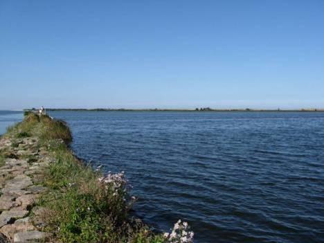 3.1. Charakterystyka geomorfologiczna 3.1.1. Morfologia i geneza obszaru Rejon ujścia Śmiałej Obecna rzeźba terenu w obszarze Natura 2000 Ujście jest wynikiem morfogenetycznej działalności rzeki,