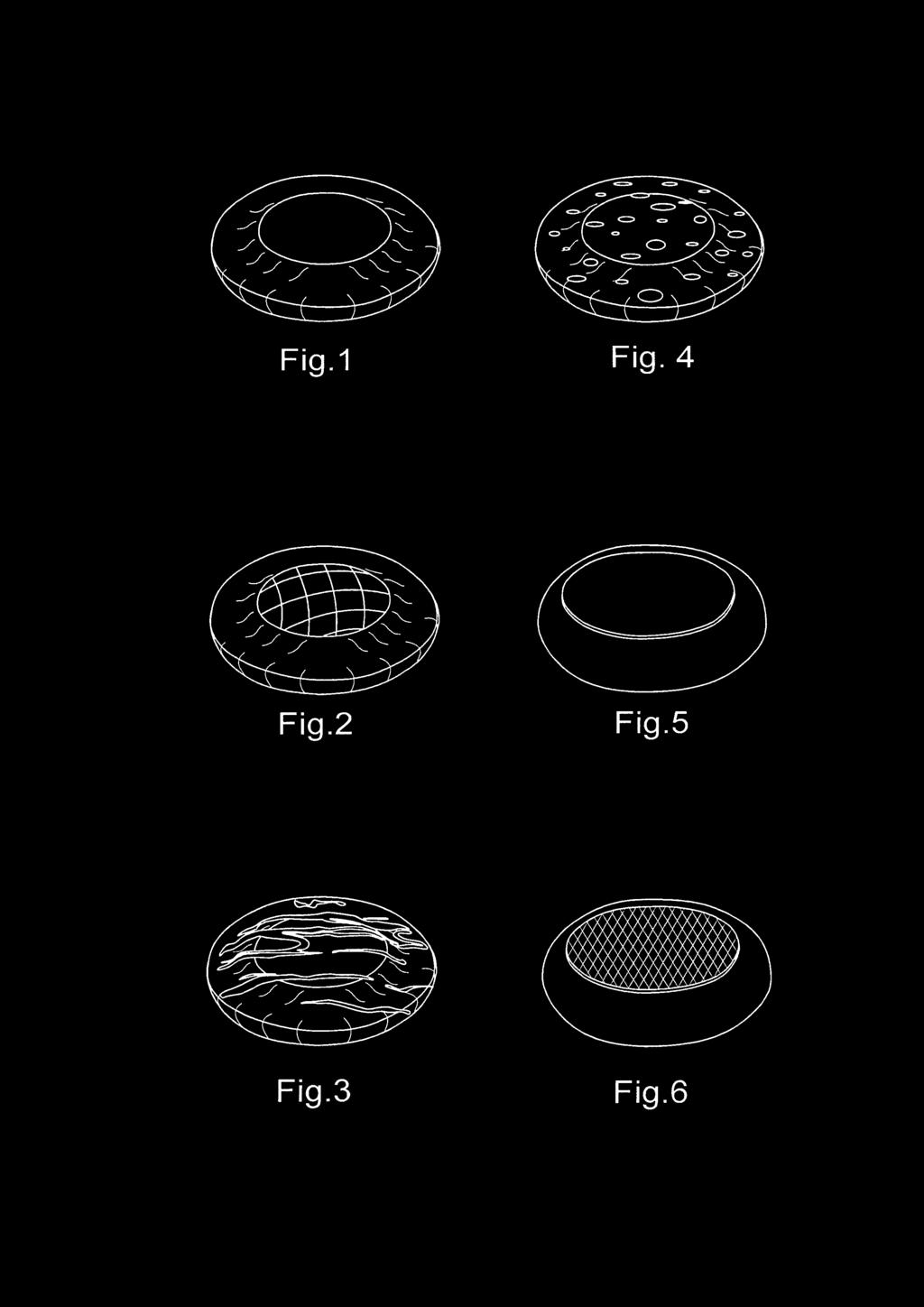 2 Fig.