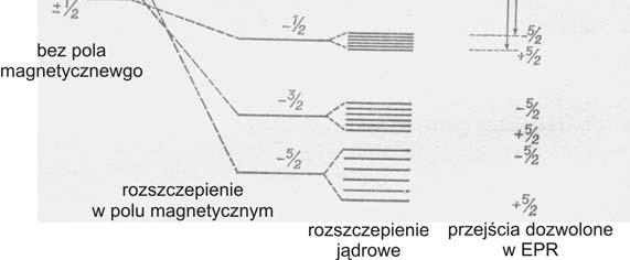 zdegenerowany (kwartuplet) [Rys. a], a w polu o symetrii osiowej na trzy odległe w skali energii dublety [Rys. b]. Rys.