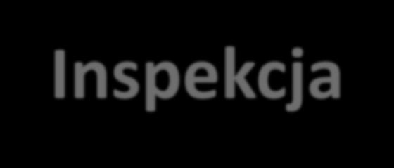 Inspekcja