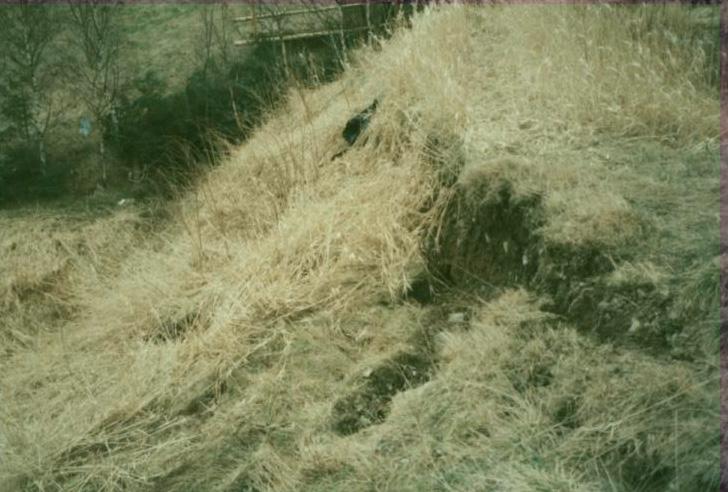 Eksploatacyjne zagrożenia stateczności Fotografia 4. Fragment osuwającej się skarpy Photo 4.