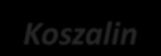 RPO 3.2. Portal Edukacyjny Województwa Zachodniopomorskiego - Koszalin XV Konferencja Miasta w Internecie Realizacja Koszalin - inwestycje W ramach Osi priorytetowej 3.