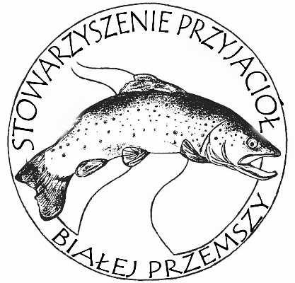 Stowarzyszenie Przyjaciół Białej Przemszy INWENTARYZAJA ŹRÓDEŁ